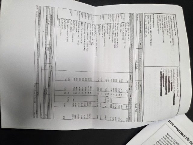 LAND ROVER Discovery usata, con Funzione TV