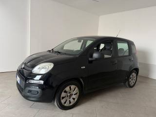 FIAT Panda usata 13
