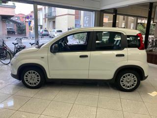 FIAT Panda usata, con Airbag