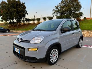 FIAT Panda usata 26