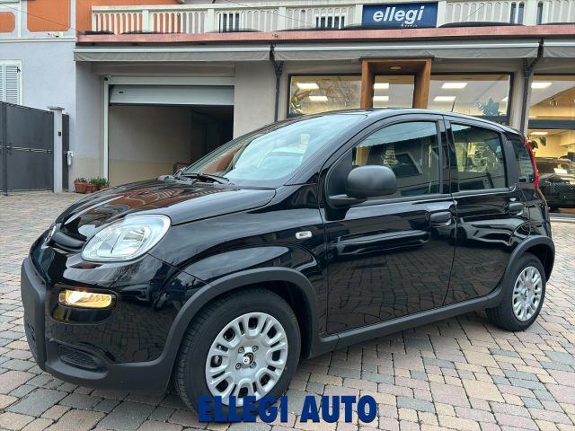 FIAT Panda usata, con Controllo trazione