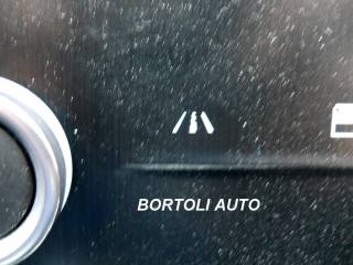 RENAULT Scenic usata, con Fendinebbia