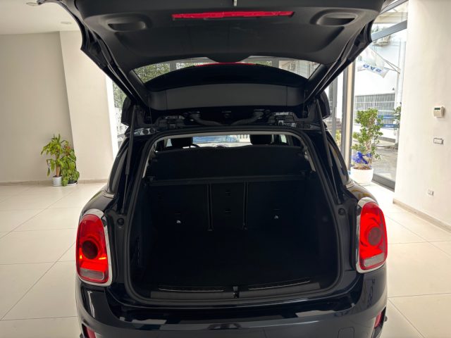 MINI Countryman usata, con Cronologia tagliandi