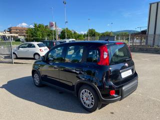 FIAT Panda usata, con Chiusura centralizzata