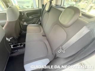 FIAT Panda usata, con Controllo trazione