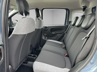 FIAT Panda usata, con Cronologia tagliandi