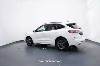 FORD Kuga usata, con Airbag Passeggero