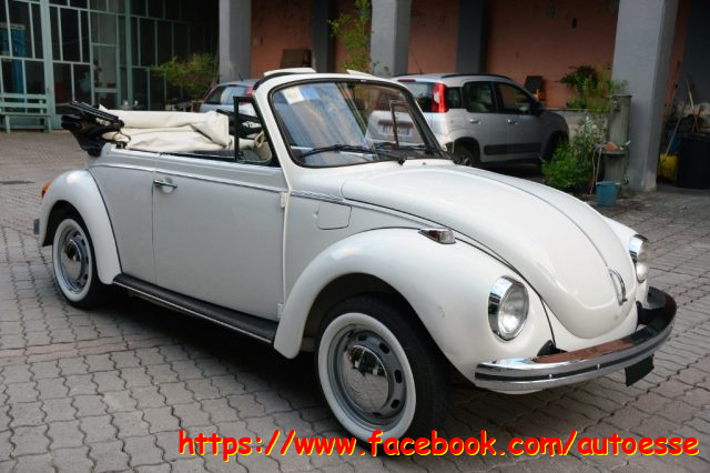 VOLKSWAGEN Maggiolone usata 3