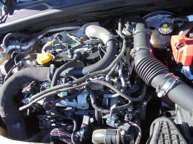 RENAULT Clio usata 43