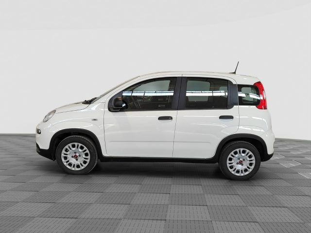 FIAT Panda usata 1
