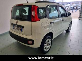 FIAT Panda usata, con ESP