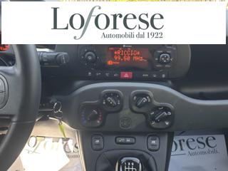 FIAT Panda usata, con Immobilizzatore elettronico