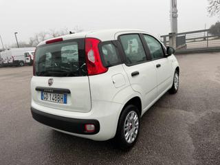 FIAT Panda usata, con Chiusura centralizzata