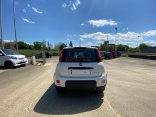 FIAT Panda usata, con Airbag Passeggero