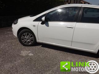 FIAT Punto usata 56