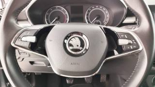 SKODA Fabia usata 47