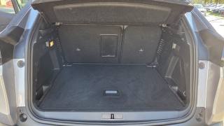 PEUGEOT 3008 usata, con Cronologia tagliandi