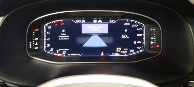 SEAT Ateca usata 30