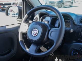 FIAT Panda usata 12
