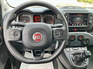 FIAT Panda Cross usata, con Servosterzo