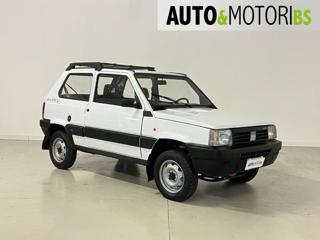 FIAT Panda usata, con Trazione integrale
