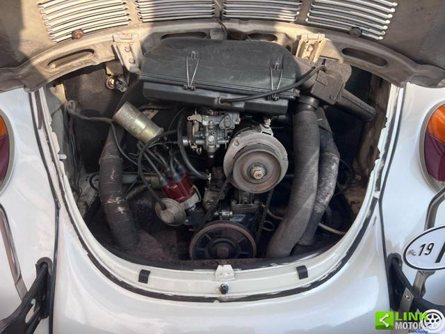 VOLKSWAGEN Maggiolino usata 12