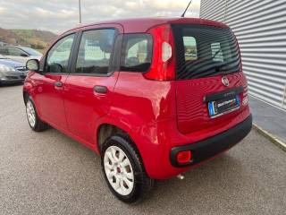FIAT Panda usata, con Chiusura centralizzata