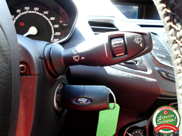 FORD Fiesta usata, con Ski bag