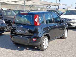 FIAT Panda usata, con Antifurto