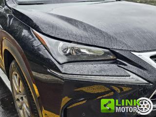 LEXUS NX 300 usata 44