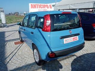 FIAT Panda usata, con Cronologia tagliandi