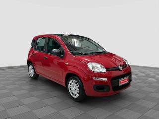 FIAT Panda usata 7