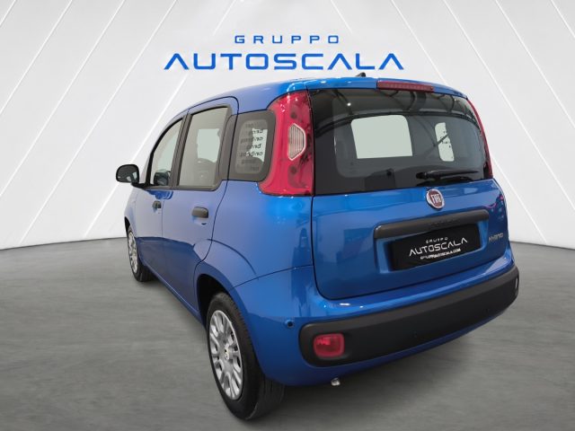 FIAT New Panda usata, con Airbag Passeggero