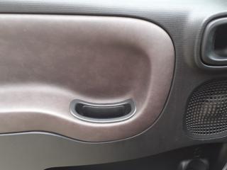 FIAT Panda Cross usata, con Volante multifunzione