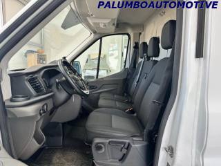 FORD Transit usata, con Bracciolo
