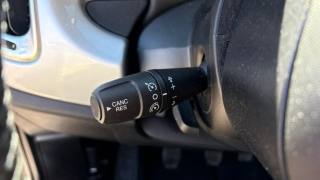 FIAT 500L usata 13