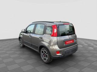 FIAT Panda usata 2