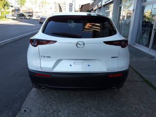 MAZDA CX-30 usata, con Interni in pelle