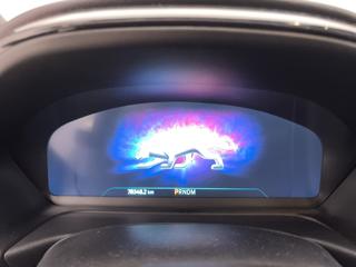 FORD Puma usata, con Fendinebbia