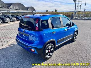 FIAT Panda usata, con Airbag Passeggero