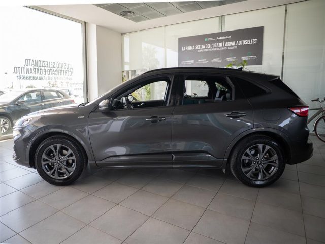 FORD Kuga usata, con Regolazione elettrica sedili