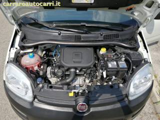 FIAT Panda usata, con Antifurto