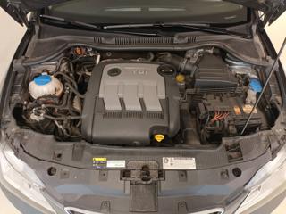 SEAT Ibiza usata, con Fendinebbia