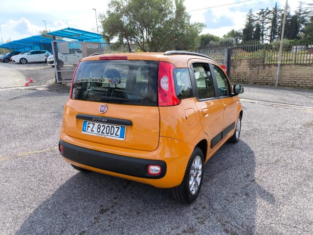 FIAT Panda usata 4