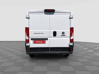 FIAT Ducato usata 3