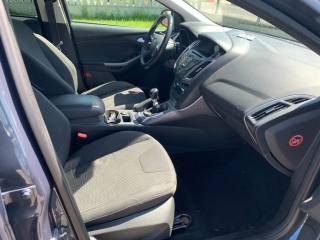 FORD Focus usata, con Cronologia tagliandi