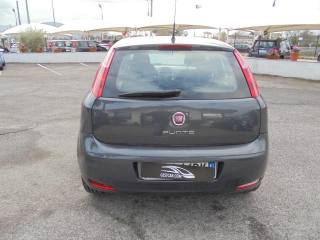 FIAT Punto usata 10