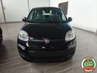 FIAT Pandina 1.0 FireFly 65 CV Hybrid Icon
