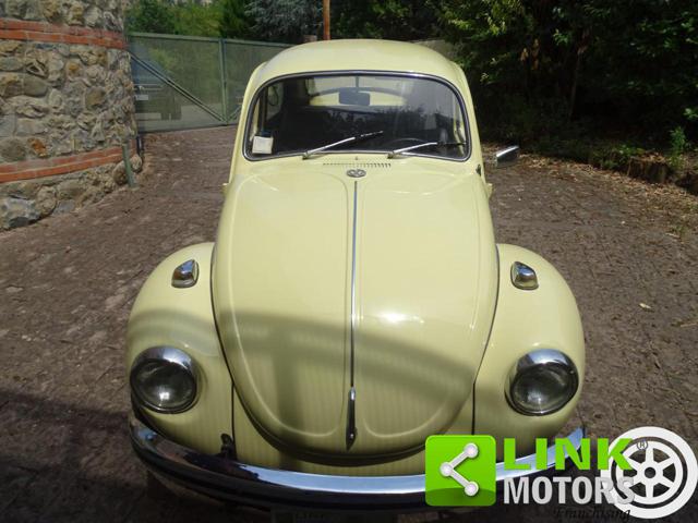 VOLKSWAGEN Maggiolone usata 23