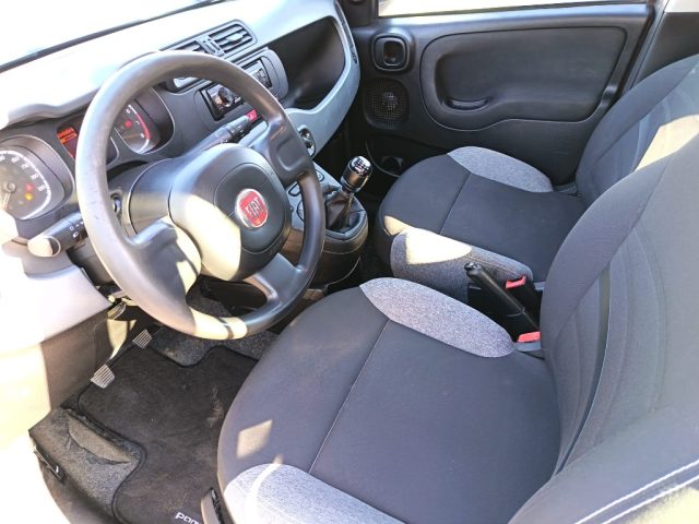 FIAT Panda usata 6